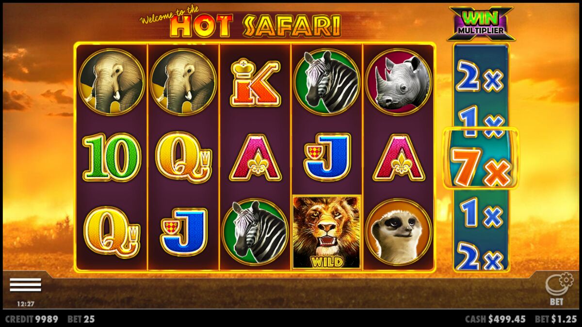 Hot Safari - screenshot with slot description 6